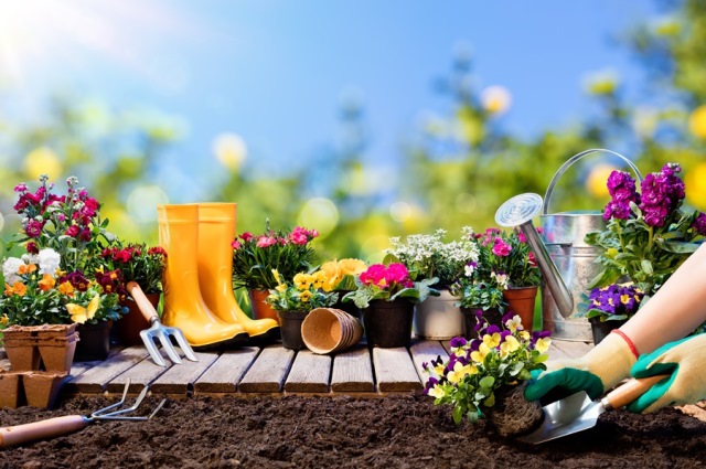 10 attrezzi indispensabili per il giardinaggio fai da te