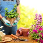 Benefici del giardinaggio: 7 motivi per prendersi cura delle piante