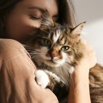 Come capire se il gatto ti vuole bene: 8 segnali d’amore