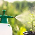 Come utilizzare l’irroratore e nebulizzatore da giardino: le diverse tipologie